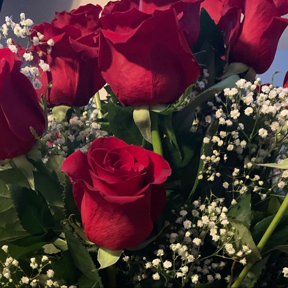 Meet your Posher, Yolanda - Picture 1 of 1